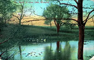 Lanarkshire: The Pond, Rouken Glen, Lanarkshire