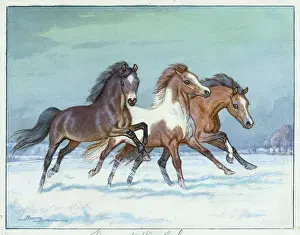 Butterworth: Three pones in the snow