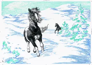 Cecile: Ponies galloping in the snow