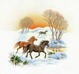 The Medici Society Ltd.: Ponies galloping in the snow