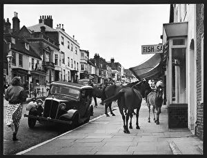 Lymington: PONIES SHOPPING