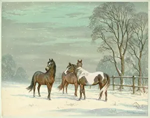 Butterworth: Three ponies in the snow
