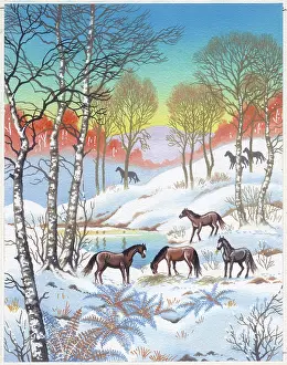 Bracken: Ponies in the Snow by a pond