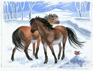 Caley: Two ponies in the snow with robin
