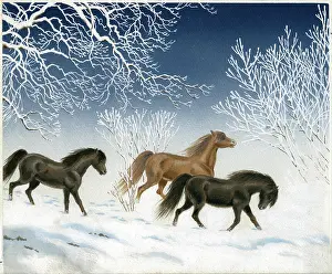 Tracery: Ponies trotting in the snow
