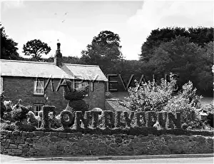 Flintshire: PONT BLYDDYN TOPIARY