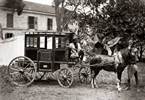 Pony: Pony carriage, India, circa 1880s