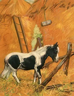 Barnyard: Pony Eating Hay