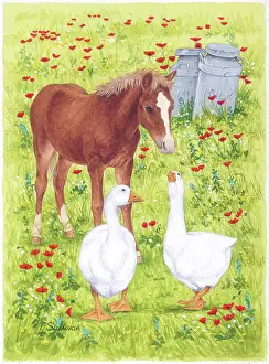 Chums: Pony and two Geese in a meadow