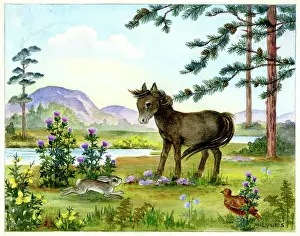 Thistles: Pony by a highland stream, with pine trees