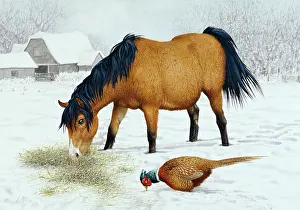 Lilly: Pony and Pheasant in the Snow