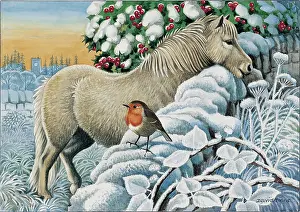 Binns: Pony in Snow with Robin