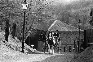 Trot: Pony and trap, Blists Hill, Shropshire