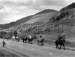 Trekking: PONY TREKKERS