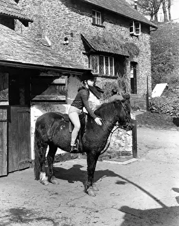 Trekking: Pony trekking, Exmoor, Devon
