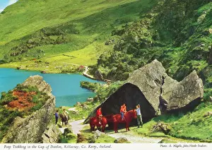 Dunloe: Pony trekking, Gap of Dunloe, Killarney, County Kerry