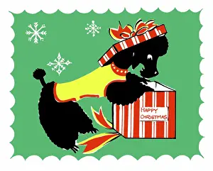 Four Colour: Poodle with a Christmas box