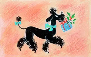 Poodles: Poodle with Christmas Parcel