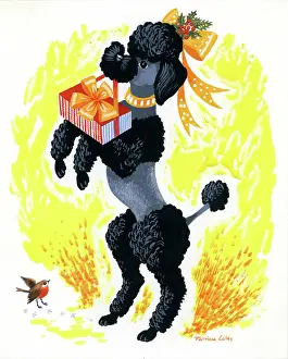 Caley: Poodle with parcel and robin