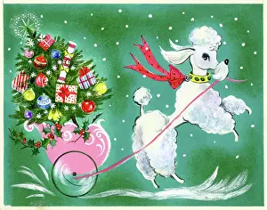 Findlay: Poodle pulling little cart with Christmas tree