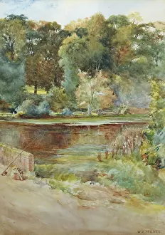 Milnes: Pool with Fishing Rod