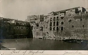 Beagles: Pool of Hezekiah, Jerusalem