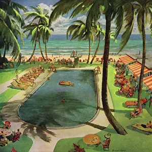 Swimmers: Pool in Miami Beach, Florida