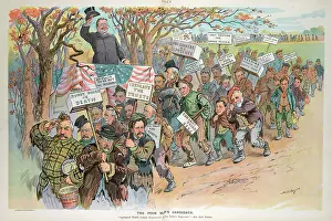 Tattered: The poor man's candidate