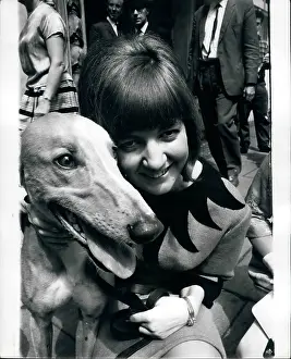 Firs: Pop Star Makes Draw For Greyhound Championships