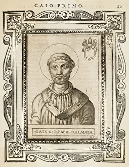 Caius: POPE CAIUS
