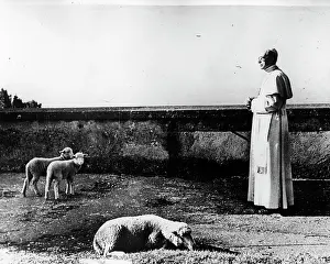 Gandolfo: Pope Pius XII 1876 - 1958