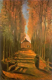 Poplar: Poplar-Lined Path, by Van Gogh