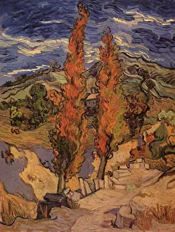 Poplar: Two Poplars on a Hill, by Van Gogh