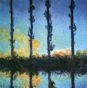 Poplar: Poplars, by Monet