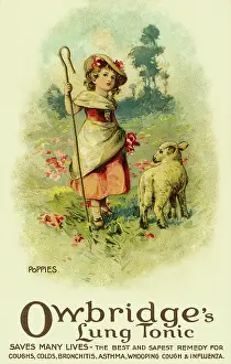 Owbridge: Poppies