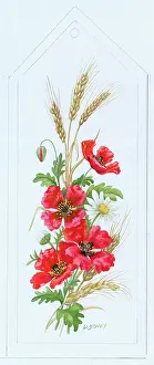 Bovey: Poppies, Barley and Daisy