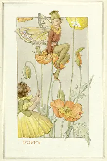 Poppy Fairies