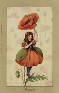 Faulkner: Poppy fairy