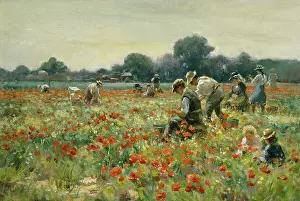 Blacklock: The Poppy Field