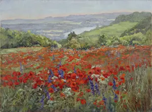 Doreen: Poppy Field, La Goulee