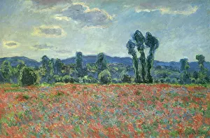 Contrasted: Poppy Field, by Monet