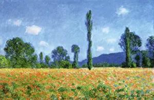 Blooms: Poppy Field, by Monet