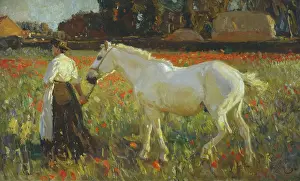 Munnings: The Poppy Field ' with white horse
