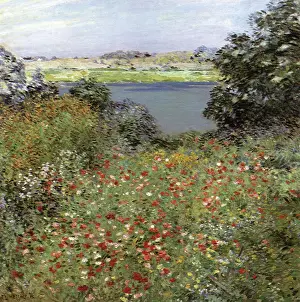 Leroy: The Poppy Garden