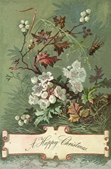 Poppies: Poppy Pattern