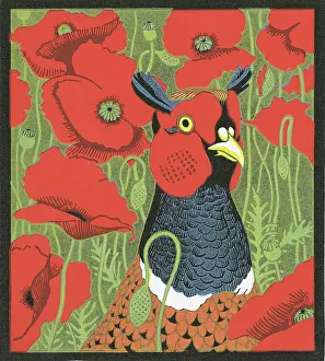 Poppies: Poppycock - Pheasant in the Poppies