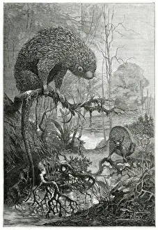 Porcupine: PORCUPINE MEXICAN TREE