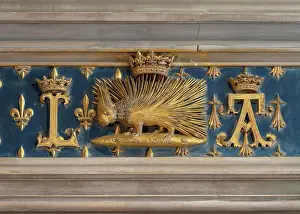 Porcupine: Porcupine, Musee des Beaux-Arts, Chateau Royal de Blois