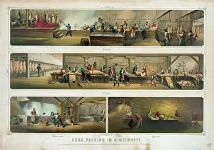 Pork: Pork packing in Cincinnati