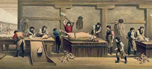 Packers: Pork packing house in Cincinnati, Ohio, ?